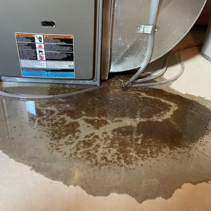 Appliance Leak Cleanup in Woodland Heights, PA